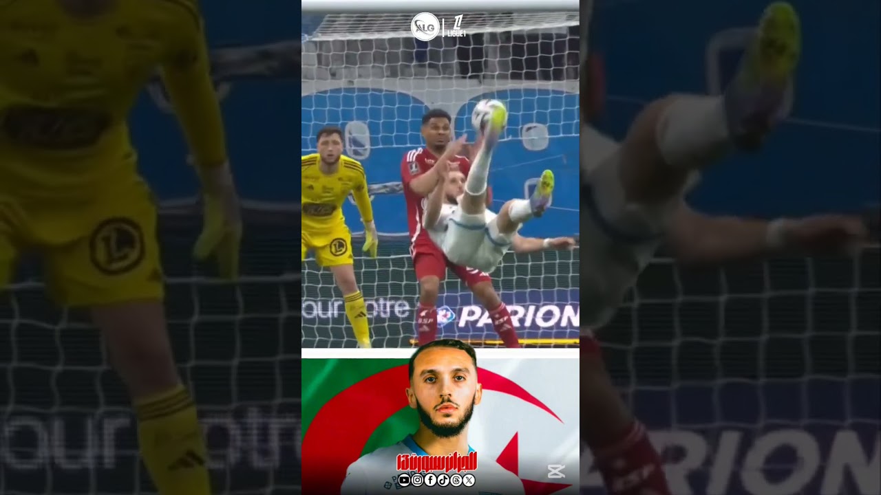 شــــاهد..هدف أمين غويري العااااالمي قبل قليل بمقصية رااائعة 🤍😱😱#شاهد #algsport13 #المنتخب_الجزائري