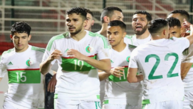 138 164752 algeria national team africain cup egypt 700x400