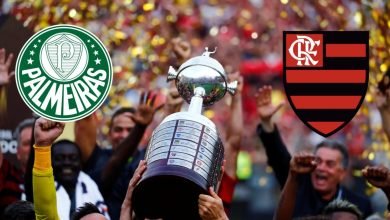 Palmeiras vs Flamengo Today the new champion of the Copa