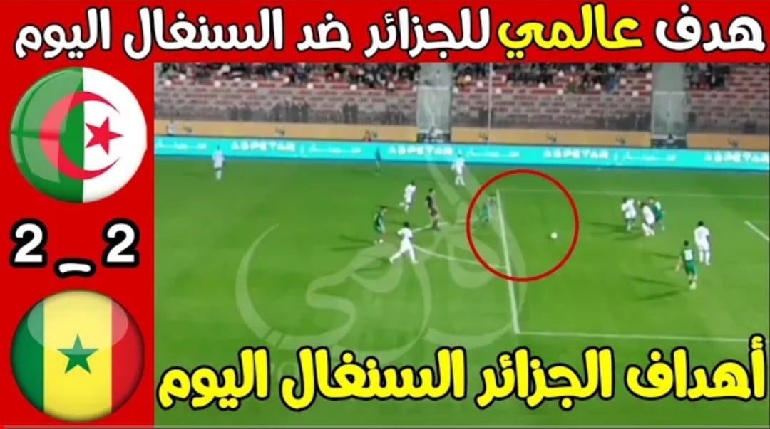 ملخص واهداف مباراة الجزائر والسنغال وسقوط محاربي الصحراء في فخ التعادل 2-2 Screenshot 2022 12 17 21 03 53 262 com.google.android.youtube2 1