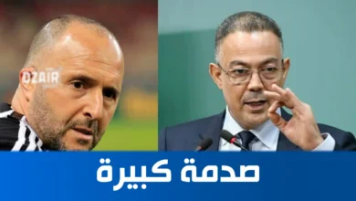 فوزي لقجع يفاوض الجزائري جمال بلماضي لتدريب المنتخب المغربي - فوزي لقجع