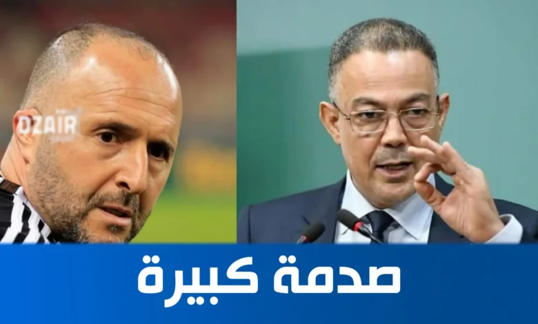 فوزي لقجع يفاوض الجزائري جمال بلماضي لتدريب المنتخب المغربي - فوزي لقجع