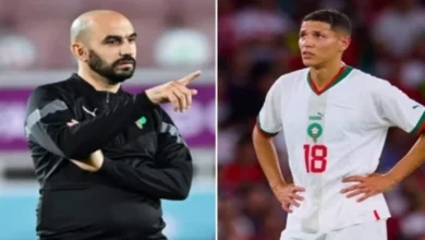 وليد الركراكي يفجرها ويكشف سبب غياب أمين حارث عن المنتخب المغربي