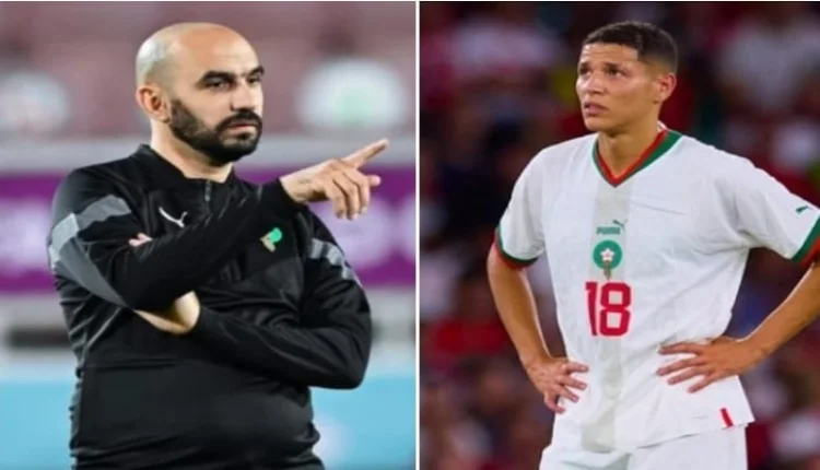 وليد الركراكي يفجرها ويكشف سبب غياب أمين حارث عن المنتخب المغربي