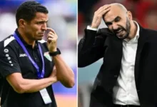 وليد الركراكي أفضل مدرب عربي لعام 2024 متفوقا على عديد المدربين أبرزهم الحسين عموتة