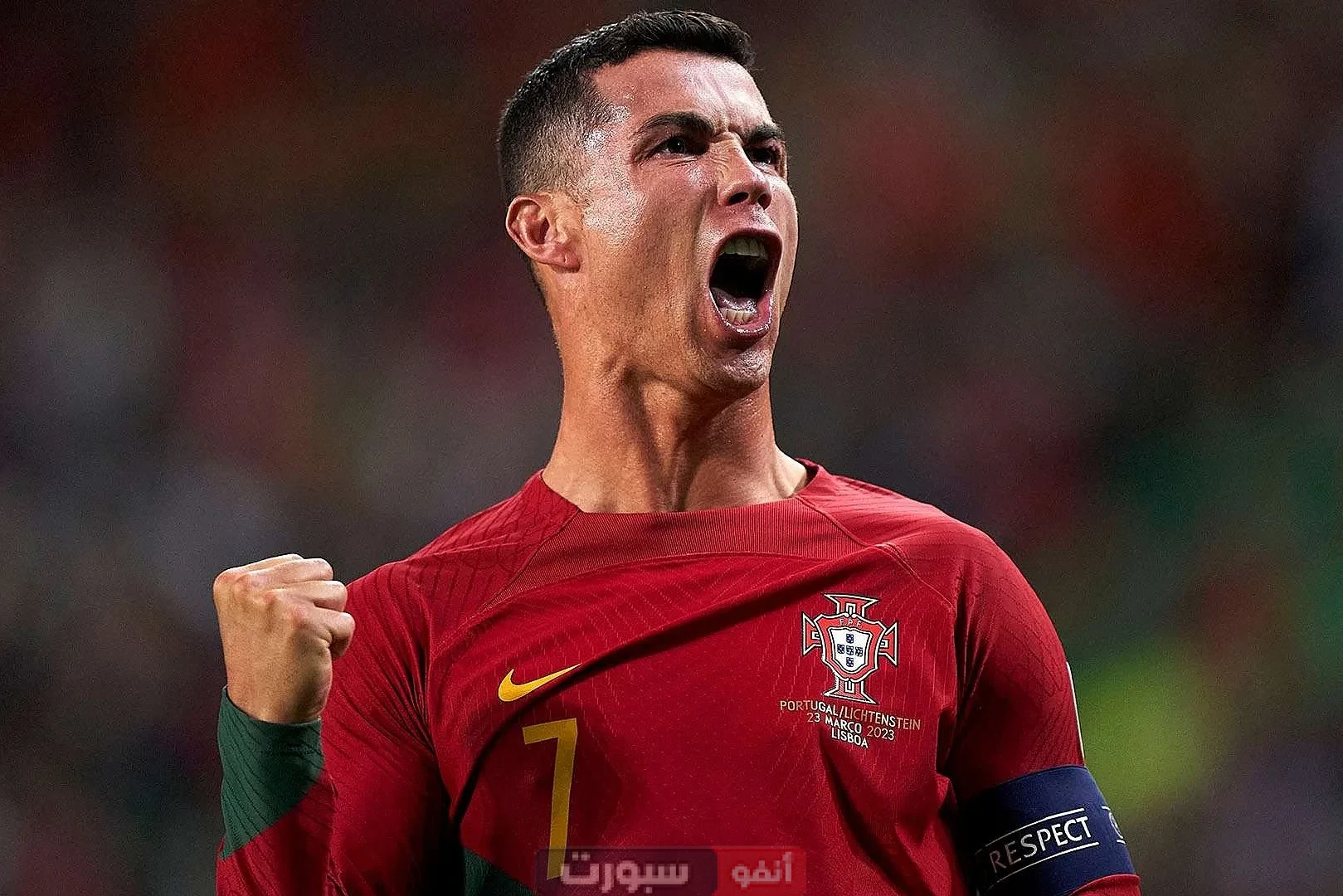ترتيب هدافي دوري الأمم الأوروبية بعد تسجيل رونالدو في شباك إسبانيا ترتيب هدافي دوري الأمم الأوروبية بعد تسجيل رونالدو في شباك إسبانيا