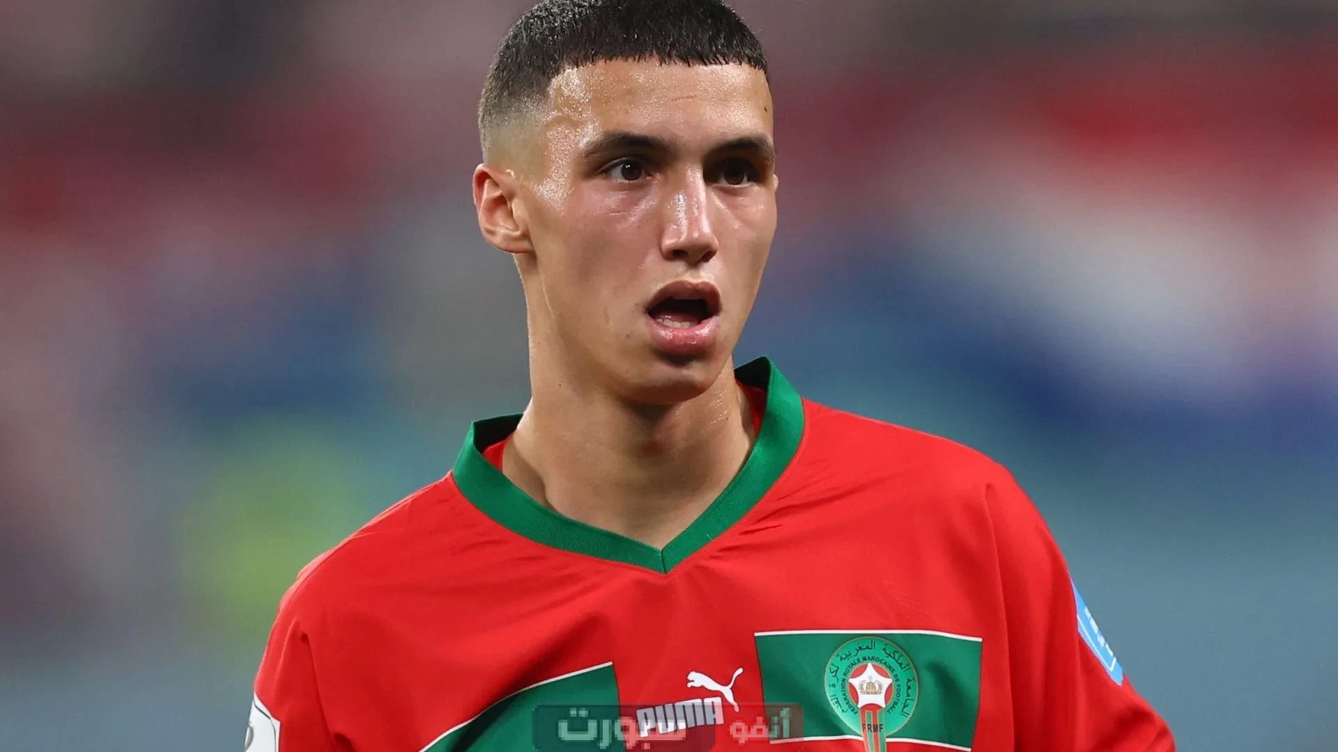 بلال الخنوس يتوصل إلى اتفاق أولي للتوقيع مع عملاق الدوري الانجليزي بلال الخنوس يتوصل إلى اتفاق أولي للتوقيع مع أحد أكبر الأندية الإنجليزية في صفقة انتقال كبيرة