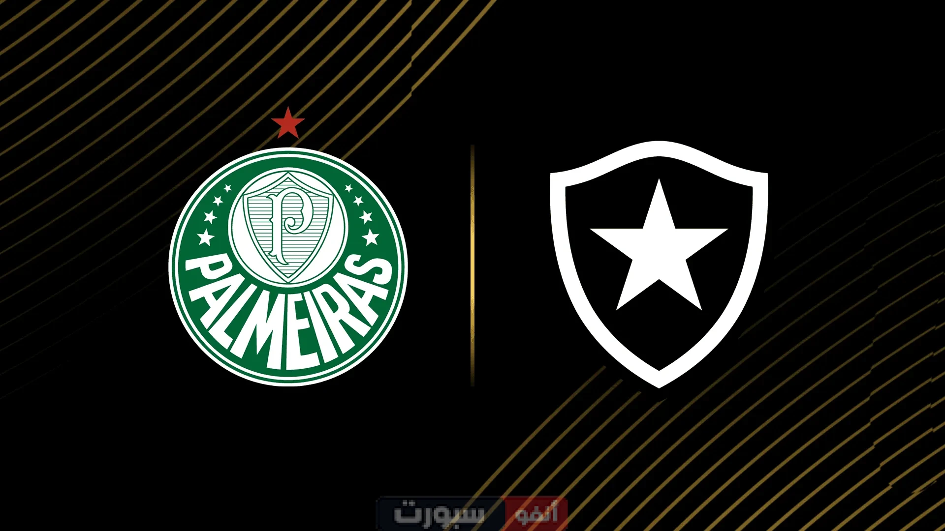 القنوات الناقلة لمباراة بالميراس اليوم ضد بوتافوجو في كأس العالم للأندية 2025 القنوات الناقلة لمباراة بالميراس اليوم ضد بوتافوجو في كأس العالم للأندية 2025