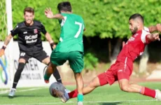 الأنصار يتوج بلقب الدوري اللبناني للمرة 15